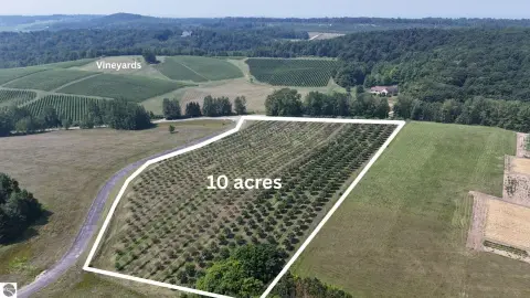 Northport Vacant Land with Orchard