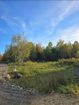 Residential Land in Detroit, ME
