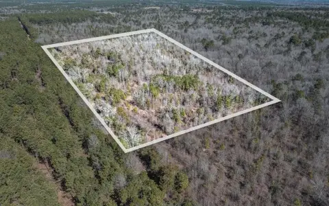 Unrestricted Land in East Texas