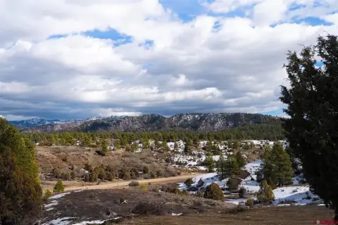 Pagosa Springs Mountain View Parcel