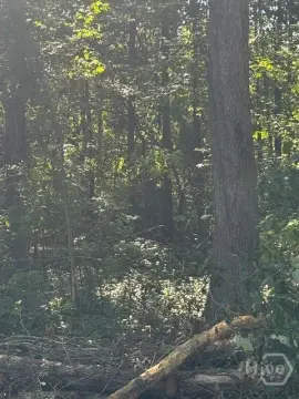 Jefferson, GA Wooded Lot