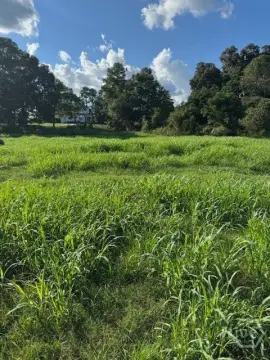 Jefferson, GA Level Building Lot