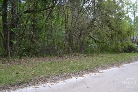 Bloomingdale Wooded Lot For Sale