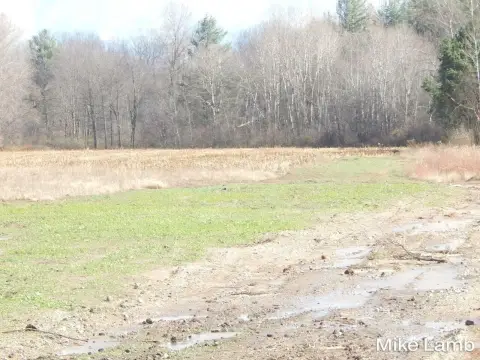 17.74 Acres in Sparta, MI