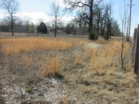 Unrestricted Land Near Joplin, MO