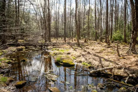 Pocono Lake Land Parcel