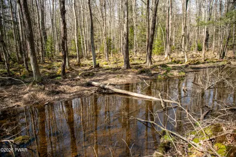 Pocono Lake Land Parcel