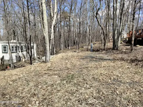Vacant Campsite Bordering State Forest