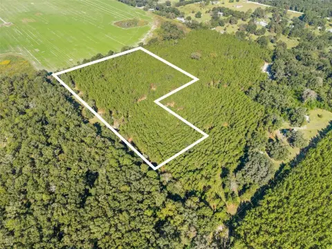 Planted-Pine Agricultural Land