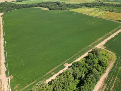 Productive Farm Land with Hunting