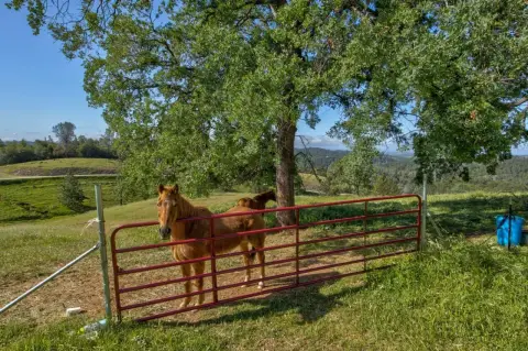 Fiddletown Land with Mountain Views