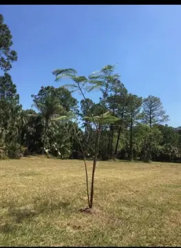 Land Near Disney and ChampionsGate