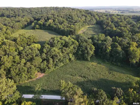 Agricultural Land with Mature Timber