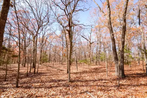 Stockton Wooded Lot Near Lake