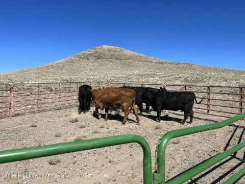 Blanca, CO Land For Sale