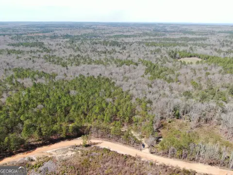 Land in Taylor County, GA