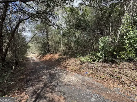 Residential Lot in Macon, GA