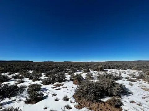 Hunting Land