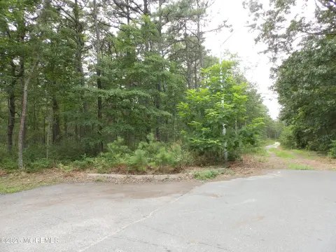 Wooded Lot in Bayville