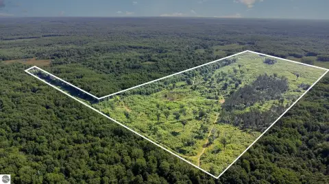 80 Acres Prime Hunting Land