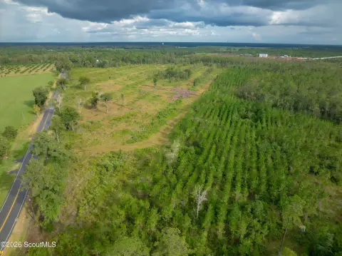 Fenced Hunting Land