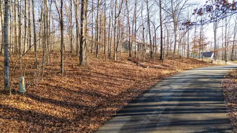 Wooded Residential Lot