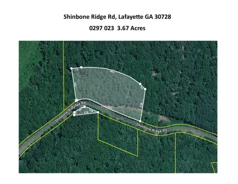 Wooded Acreage in A-1 Zoning