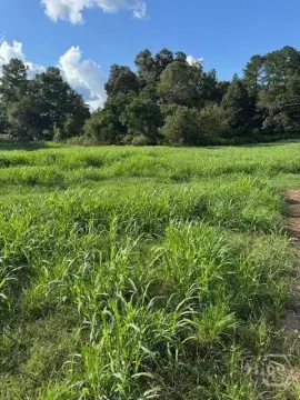 Jefferson, GA Land Opportunity