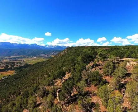 Ridgway Land with Mountain Views
