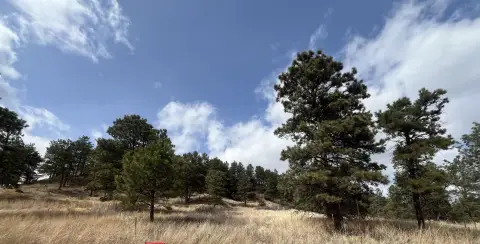 Residential Lots Near Mill Pond