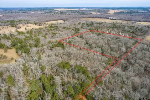 Heavily Wooded Acreage Near Ben Wheeler