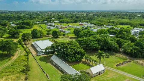 Versatile Income-Producing Commercial Property