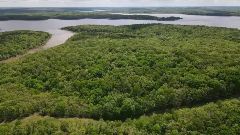 Lush Timber Hunting Land