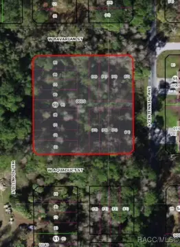 Homosassa Land Investment Opportunity