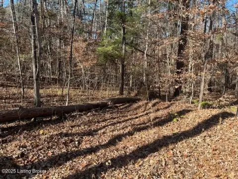 Wooded Lake Recreation Land