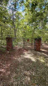 Secluded Wooded Lot in Bellport
