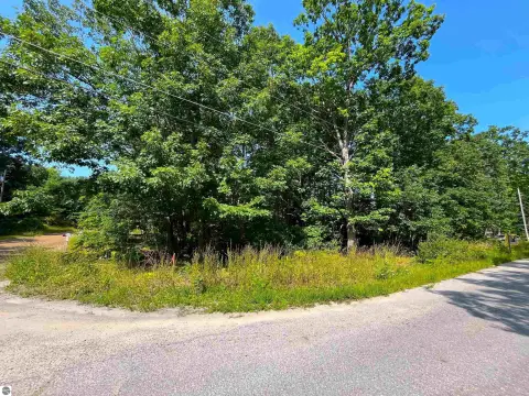 Wooded Lot in Interlochen Village
