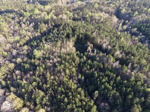 Thomasville Land for Recreation