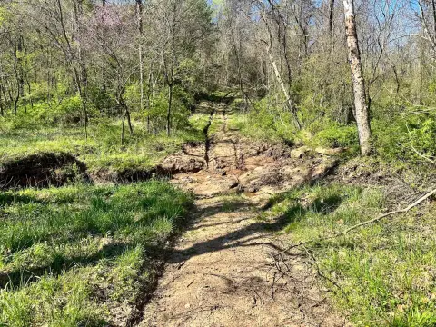 Meigs County Recreational and Hunting Land