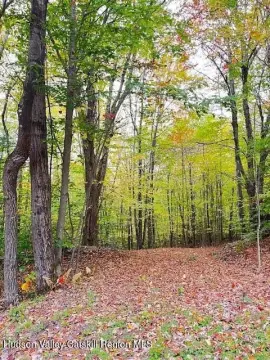 Enchanting Bovina Land Parcel