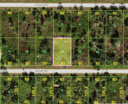 Port Charlotte Land Investment Opportunity
