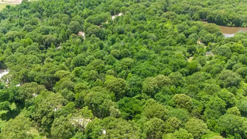 Wooded Acreage Near Interstate 20