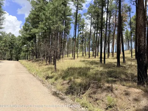 Wooded Residential Building Lot