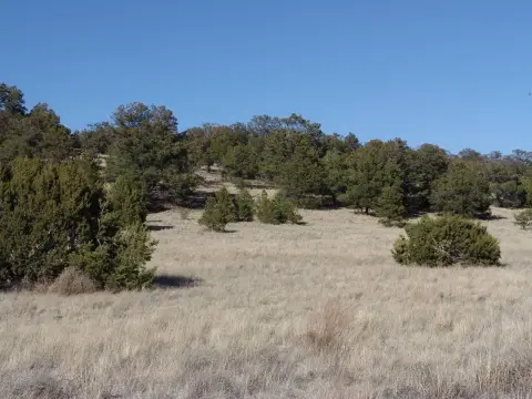 5.54 Acres Vacant Land Datil