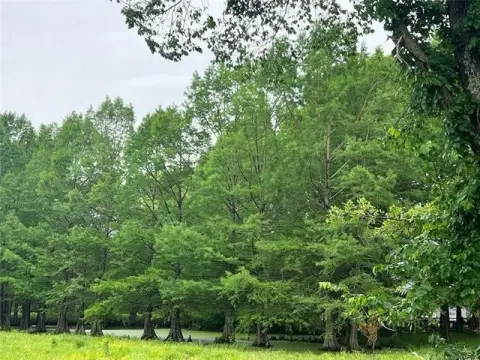 Equestrian Land with Horse Barn