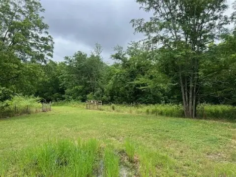Recreational Hunting Land with Timber