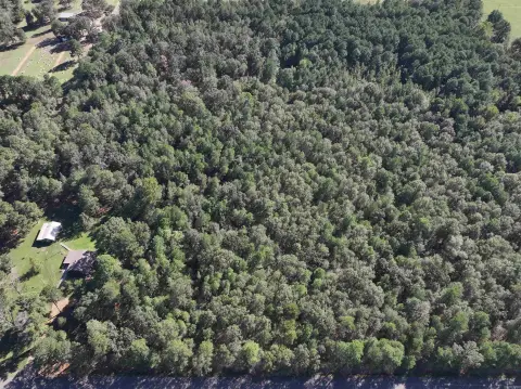 Pine-Treed Land with Pond