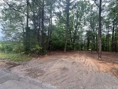 6-Acre Wooded Land Parcel