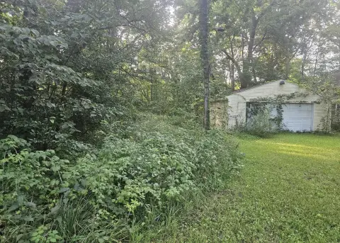 Wooded Recreation Land