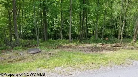 Residential Land in Wooded Setting